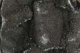 Septarian Dragon Egg Geode - Black Crystals #98867-1